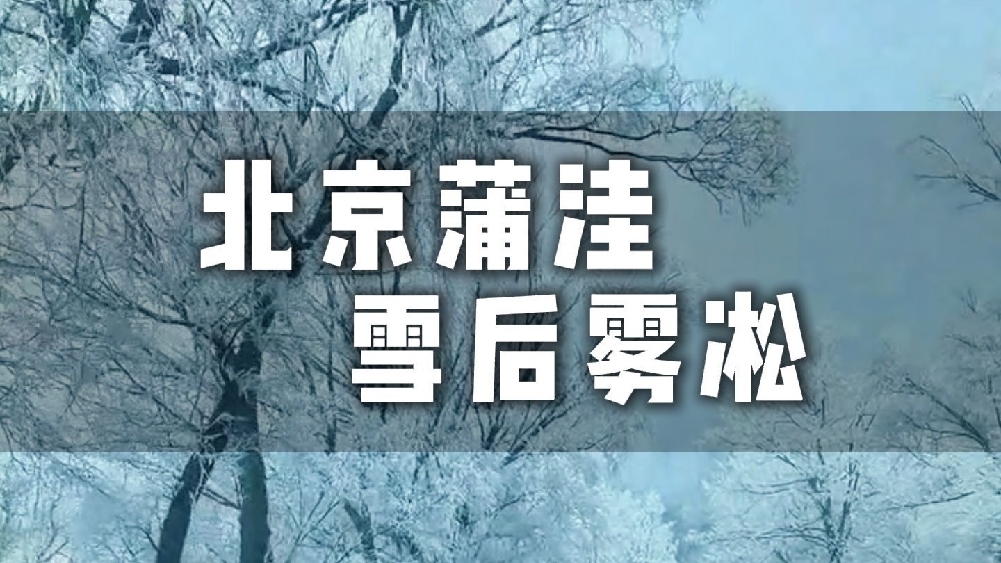 北京房山雪后雾凇实拍，2026开年惊喜，美晕！