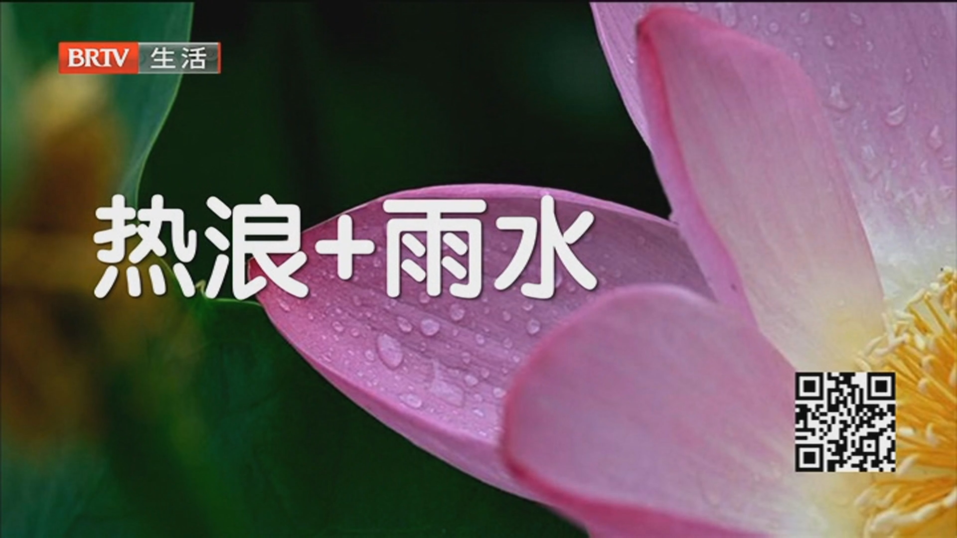 《生活这一刻》20260704