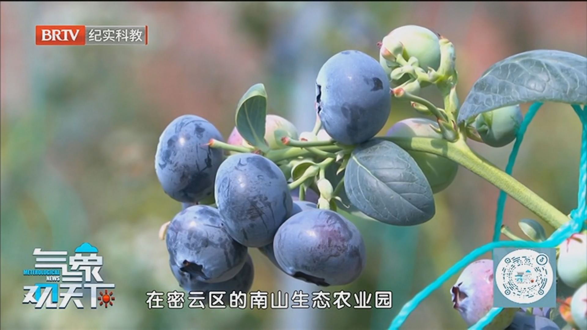 《气象观天下》20260417东北到江南 气温多起伏