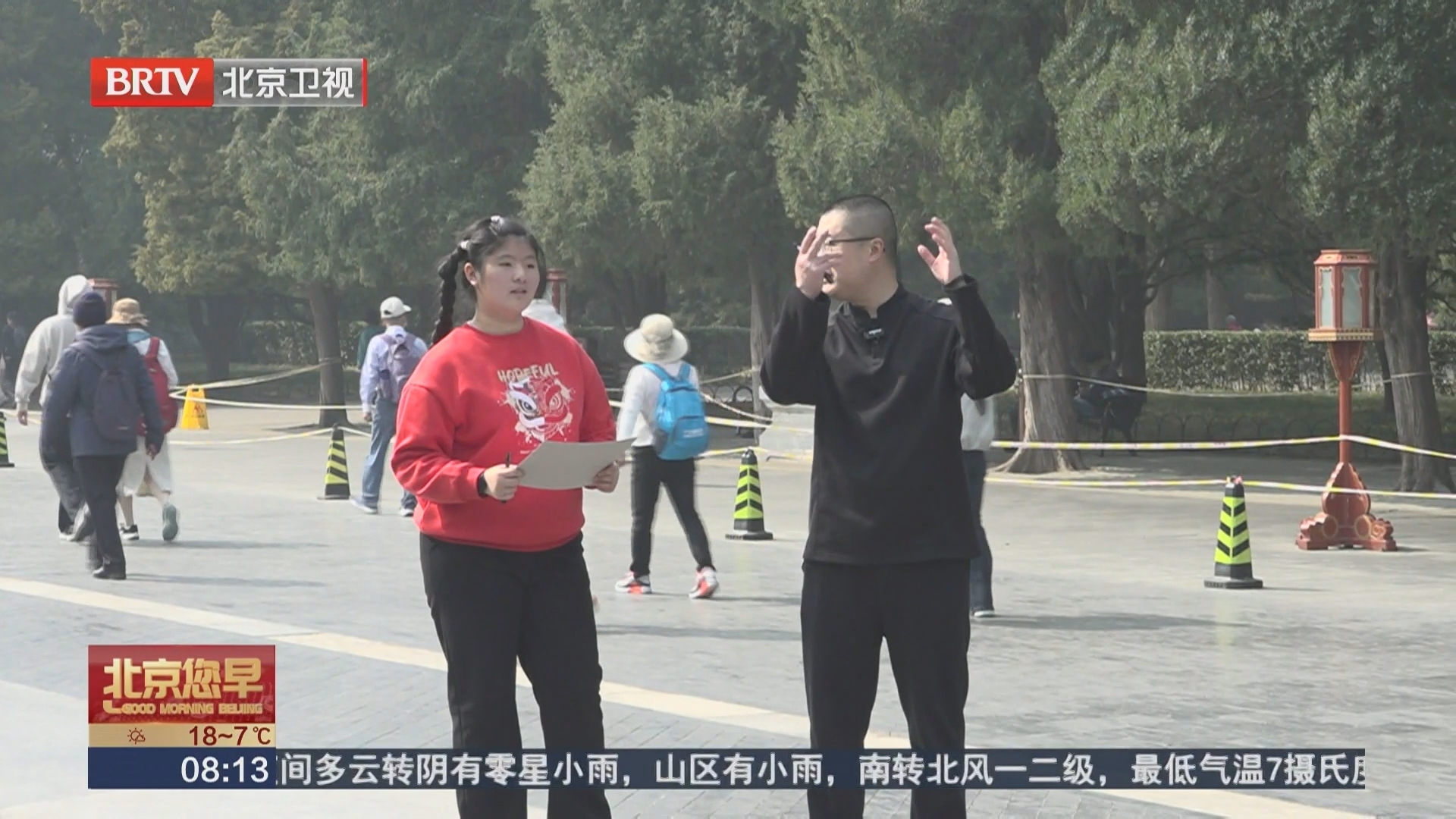 叶间“生花” 指尖上的自然与匠心对话