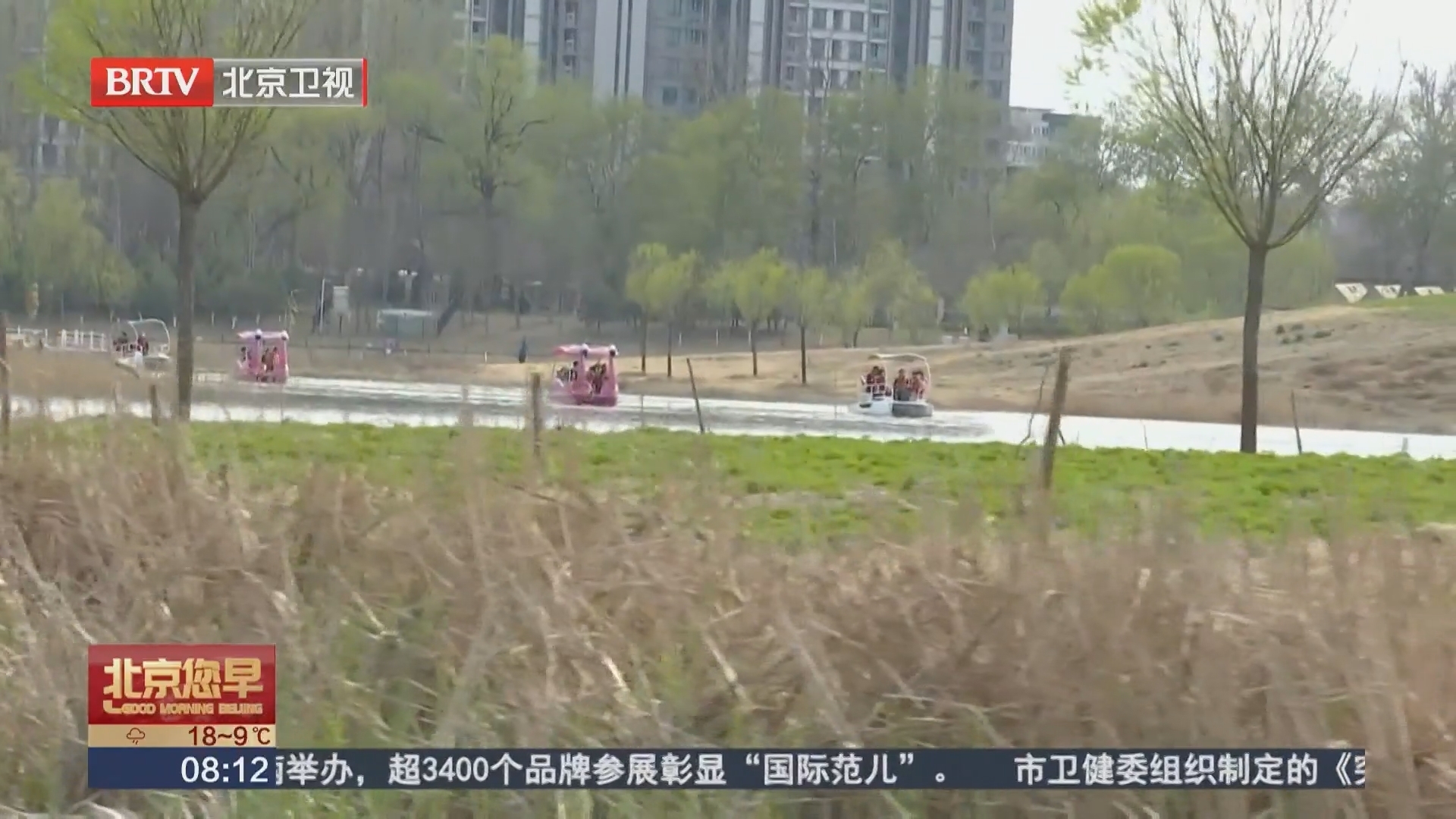 南苑森林湿地公园游船启航 丰台春日赏花观鸟路线全新上线