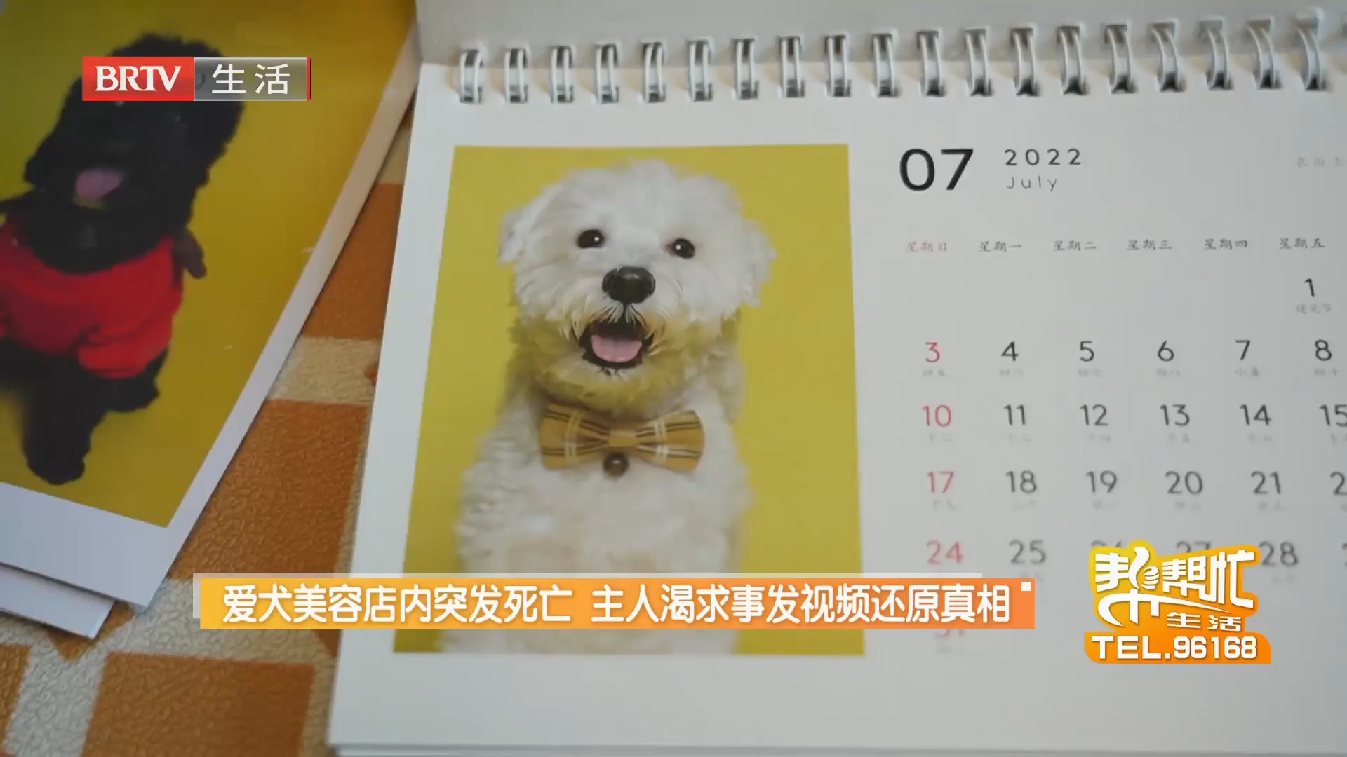 《生活帮帮忙》20260729 《生活帮帮忙》20260729