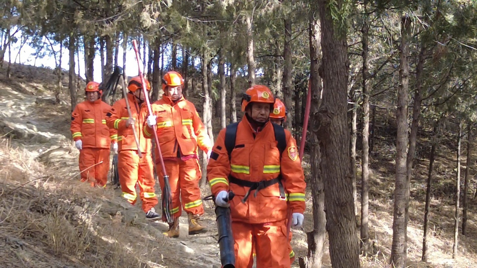 门头沟：严阵以待 守护山林　龙泉集体林场筑牢森林防火防线