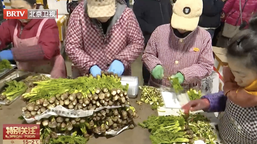 香椿大降价！东北刺老芽进京，“春菜”尝鲜千万注意这几点——