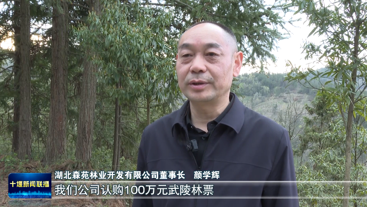 全省首单林票在竹溪签发 111.6亩珍稀楠木林“变现”200万元_北京时间