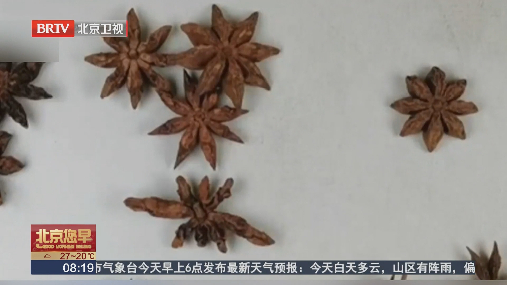 八角 莽草 分不清 辨别妙招请记牢