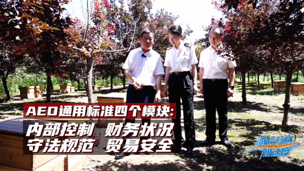 AEO:为中国企业“出海”加速度 AEO:为中国企业“出海”加速度