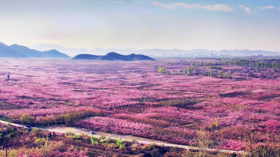 稳居春季文旅C位的，为何是平谷？