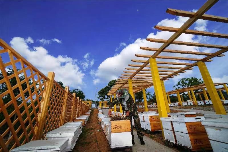 即将启幕!国际蜂联亚洲区域研讨会首次密云召开 即将启幕!国际蜂联亚洲区域研讨会首次密云召开