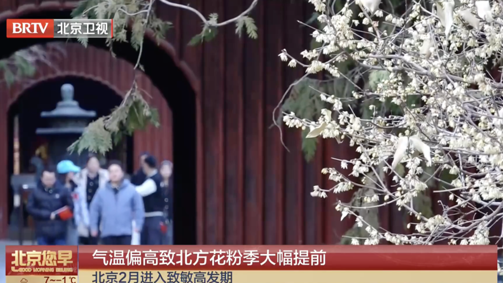 北京花粉季提前!过敏的人,今年要格外小心,收藏这份防护指南 北京花粉季提前!过敏的人,今年要格外小心,收藏这份防护指南