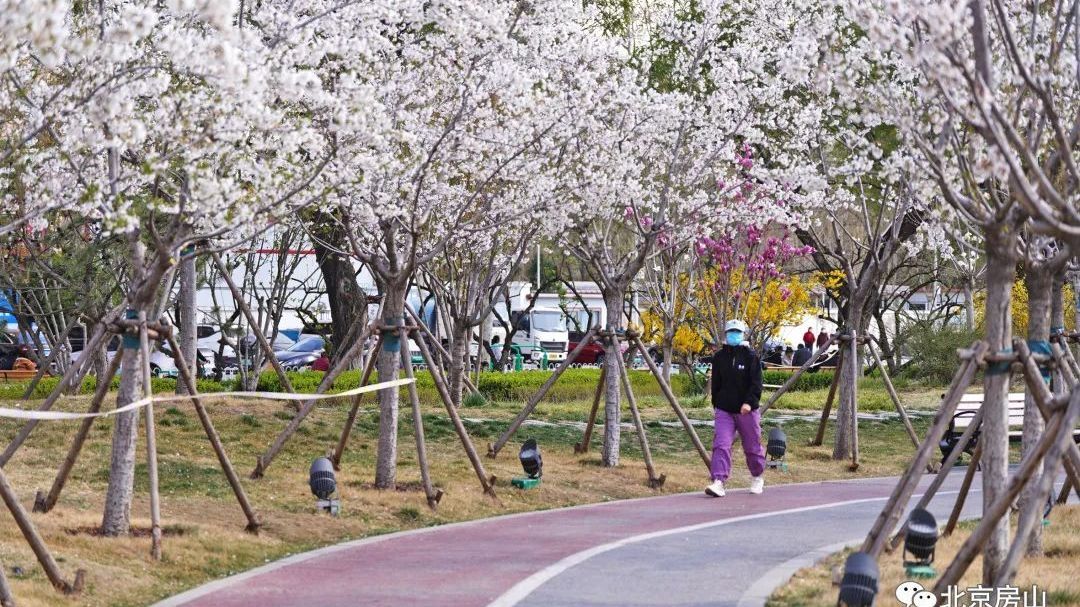 房山人民公园的春天是什么颜色的？