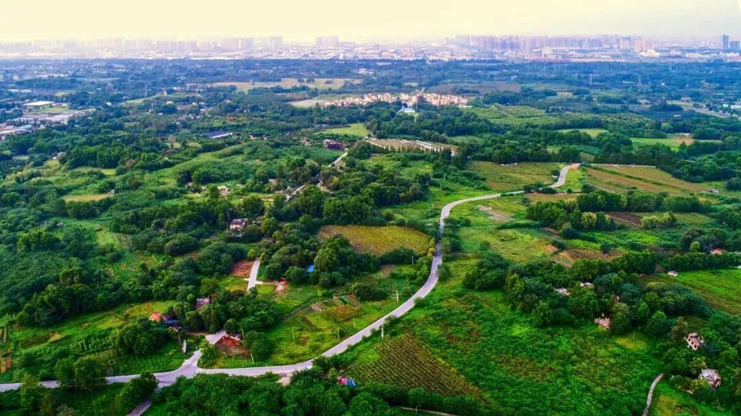 【历史文化】“红光”,红在哪儿? 【历史文化】“红光”,红在哪儿?