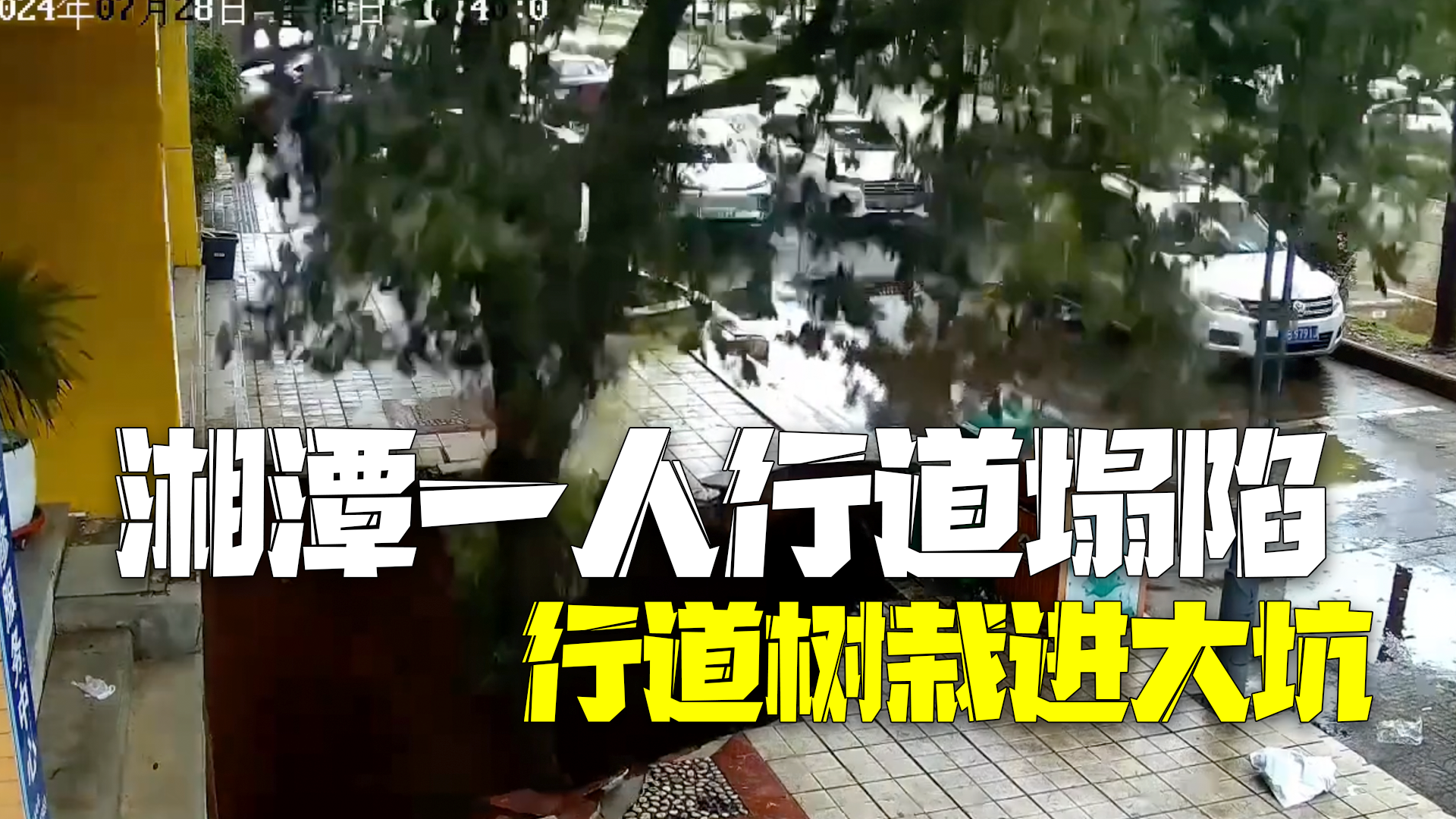 万幸没有伤人！湘潭人行道突然塌陷 整棵行道树栽进大坑