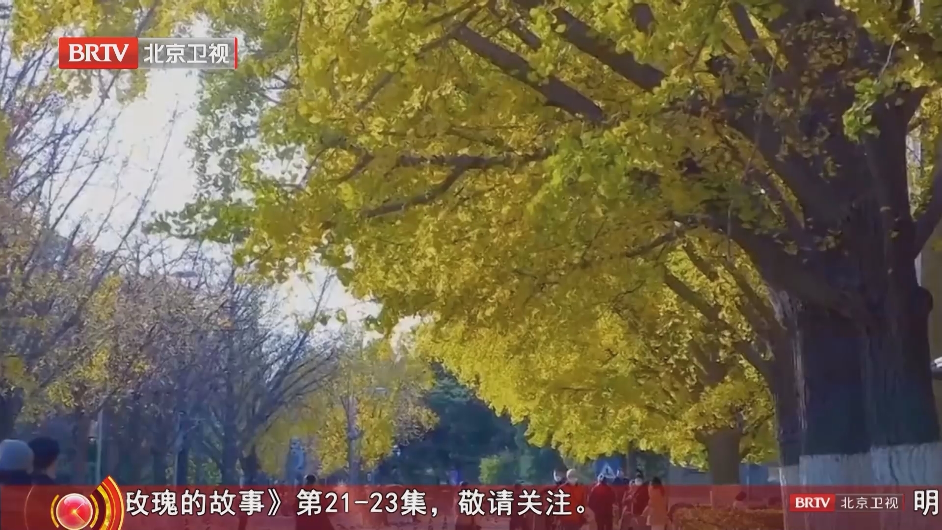 《档案》20251027百年求索 赤子之心 缅怀科学巨匠杨振宁 《档案》20251027百年求索 赤子之心 缅怀科学巨匠杨振宁