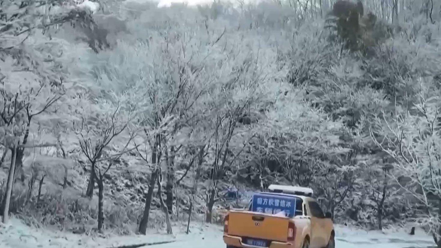 冻雨不是雪 盘点低温雨雪冰冻天气常见误区 冻雨不是雪 盘点低温雨雪冰冻天气常见误区