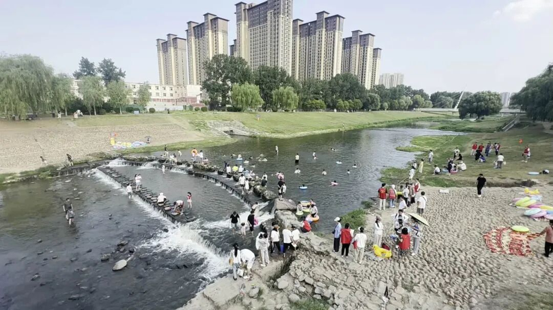 郑州一排污口成网红戏水地，多人下水游泳，志愿者现场苦劝：这是冲马桶的水，不适合游泳