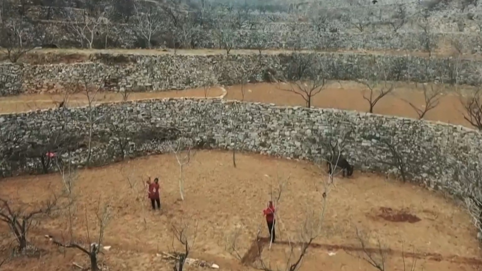 中国梦365个故事丨梯田恋歌 中国梦365个故事丨梯田恋歌