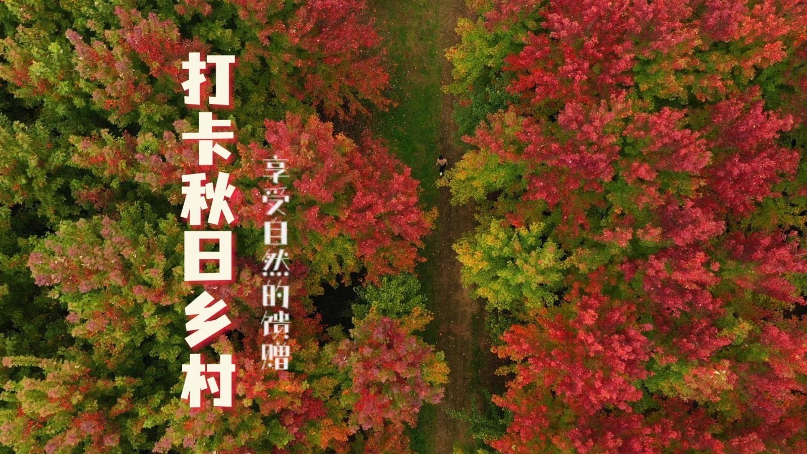 打卡秋日乡村 特色体验氛围感满满