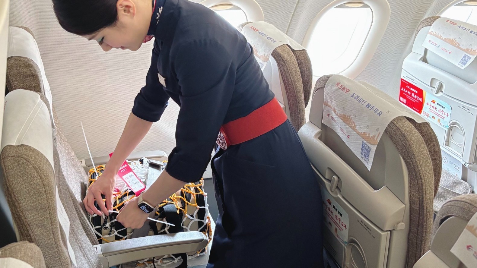 东航“宠物进客舱”升级推出宠物占座服务 东航“宠物进客舱”升级推出宠物占座服务