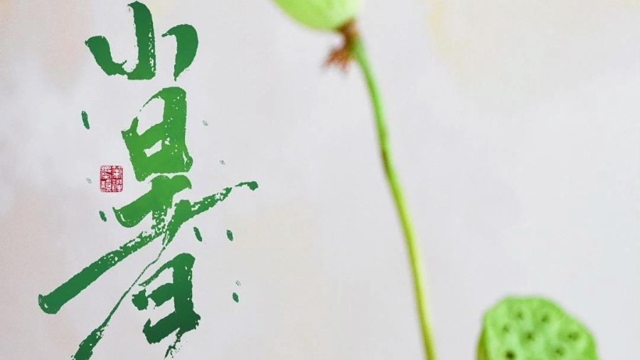 风动莲生香，心静自然凉。今日小暑!