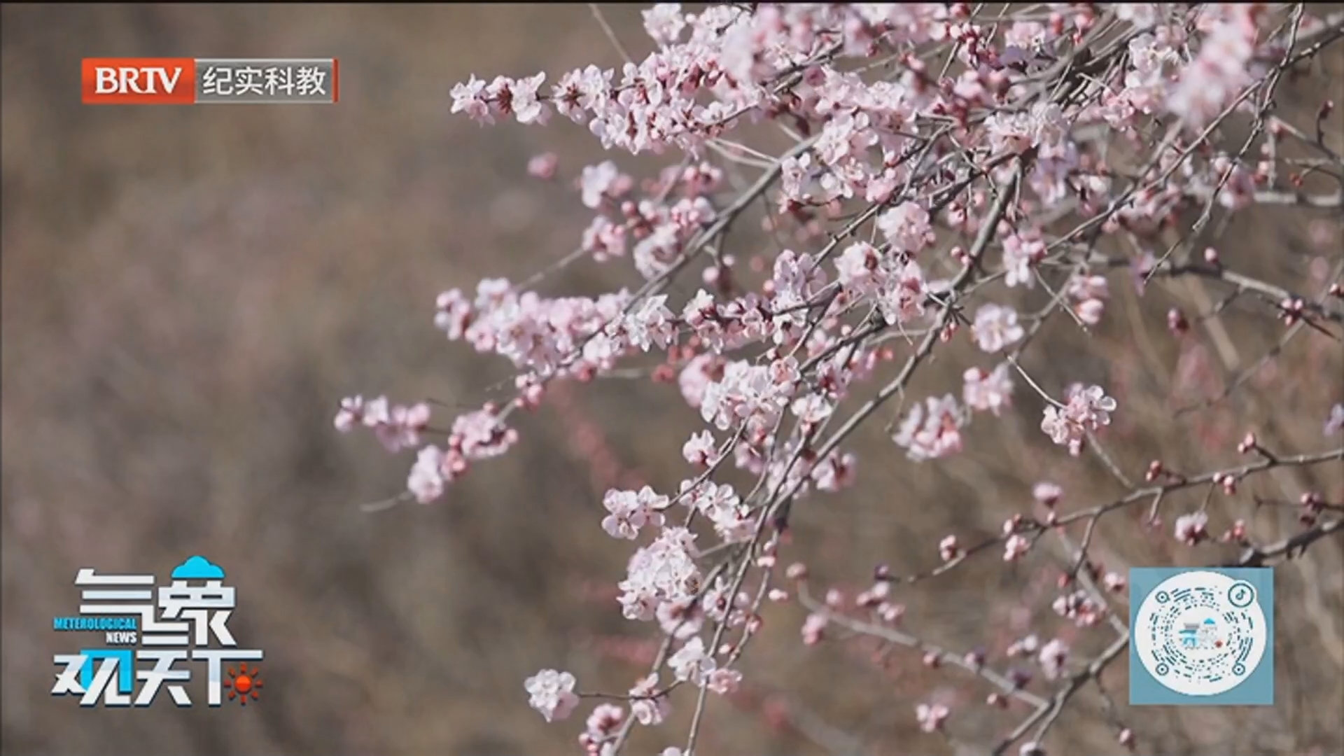 《气象观天下》20250415春季气候多变 关注临近天气预报