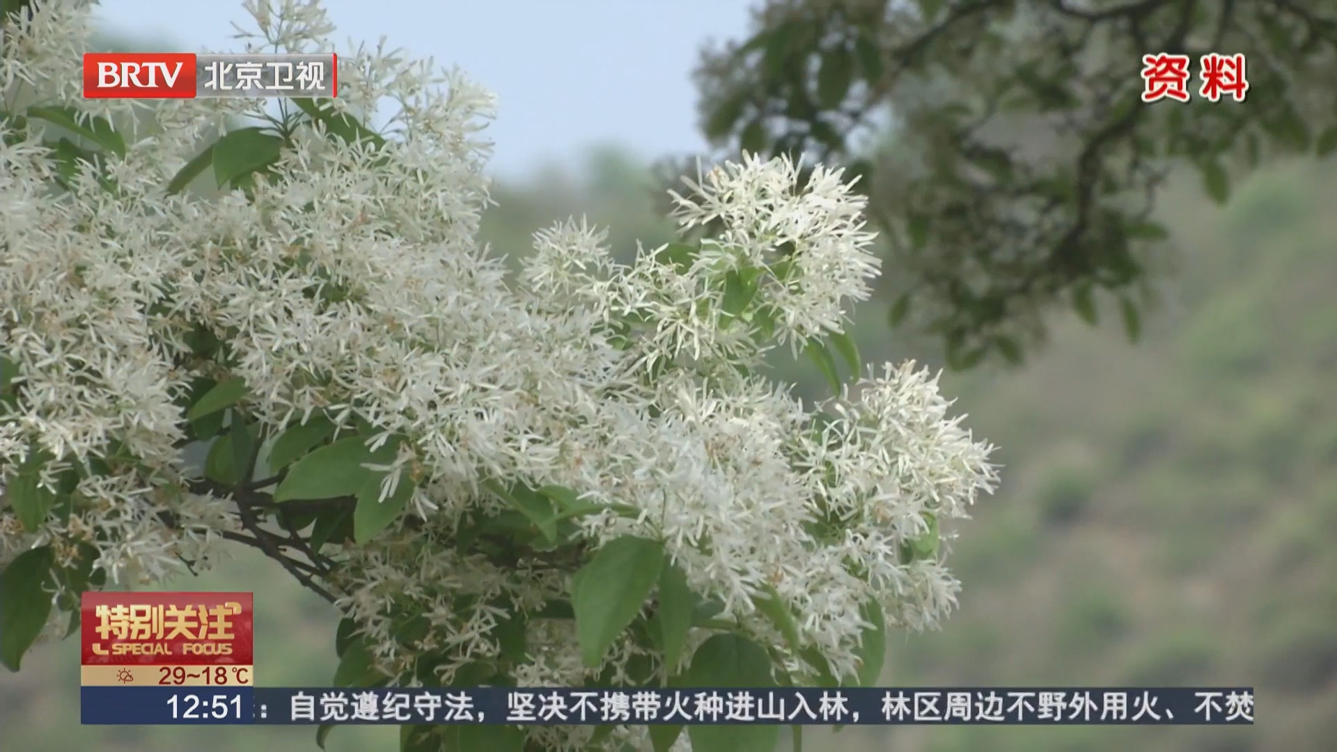密云文旅持续升温 古村古镇联动点亮假日市场