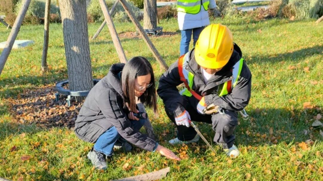 房山区冬季绿化养护为城市“梳妆”! 房山区冬季绿化养护为城市“梳妆”!