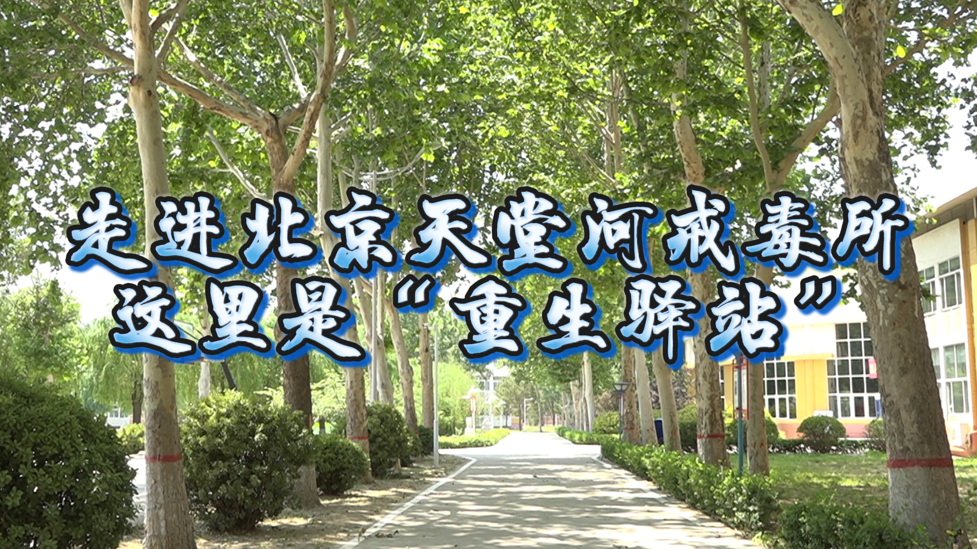 走进北京天堂河戒毒所：这里是“重生驿站”