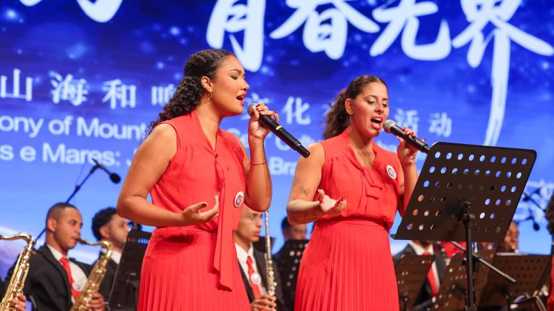 中巴青年“山海和鸣”文化交流活动举行