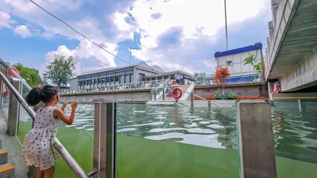 积水潭“大鱼缸”走红!市民担心暴雨来袭水会漫进廊道,官方回应 积水潭“大鱼缸”走红!市民担心暴雨来袭水会漫进廊道,官方回应