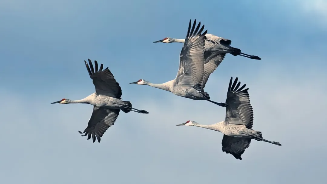 这句话里，蕴含着怎样的破局之道？