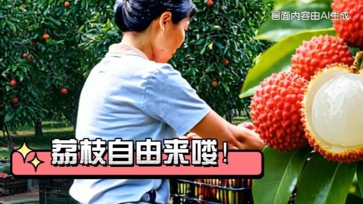 荔枝自由来喽！网友：高端水果自由真的来了