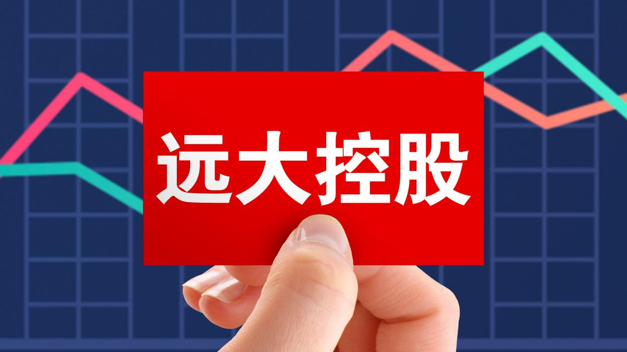 远大控股因商誉减值测试问题收警示函 财务总监被点名