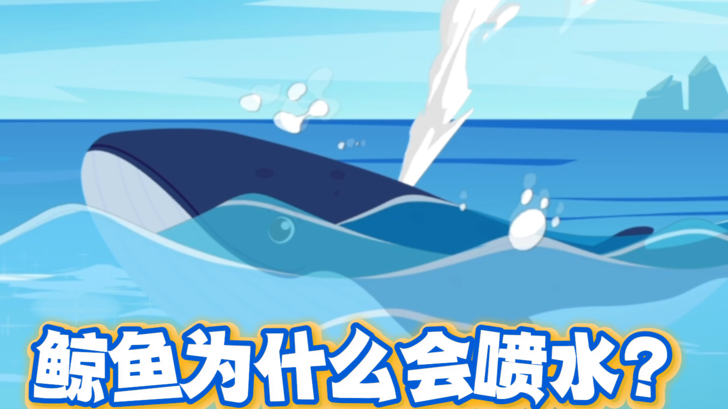 鲸鱼为什么会喷水?实际上是鲸鱼在呼吸? 鲸鱼为什么会喷水?实际上是鲸鱼在呼吸?