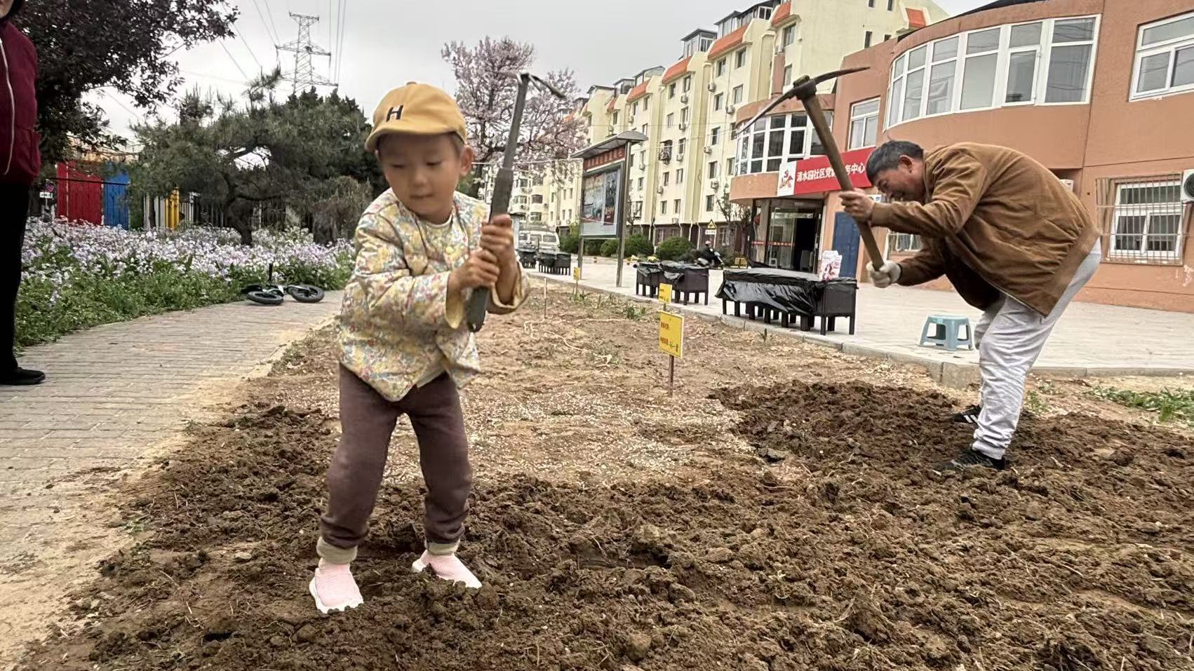 北京市昌平区天通苑南街道：中医药首次走进社区种在群众心坎上