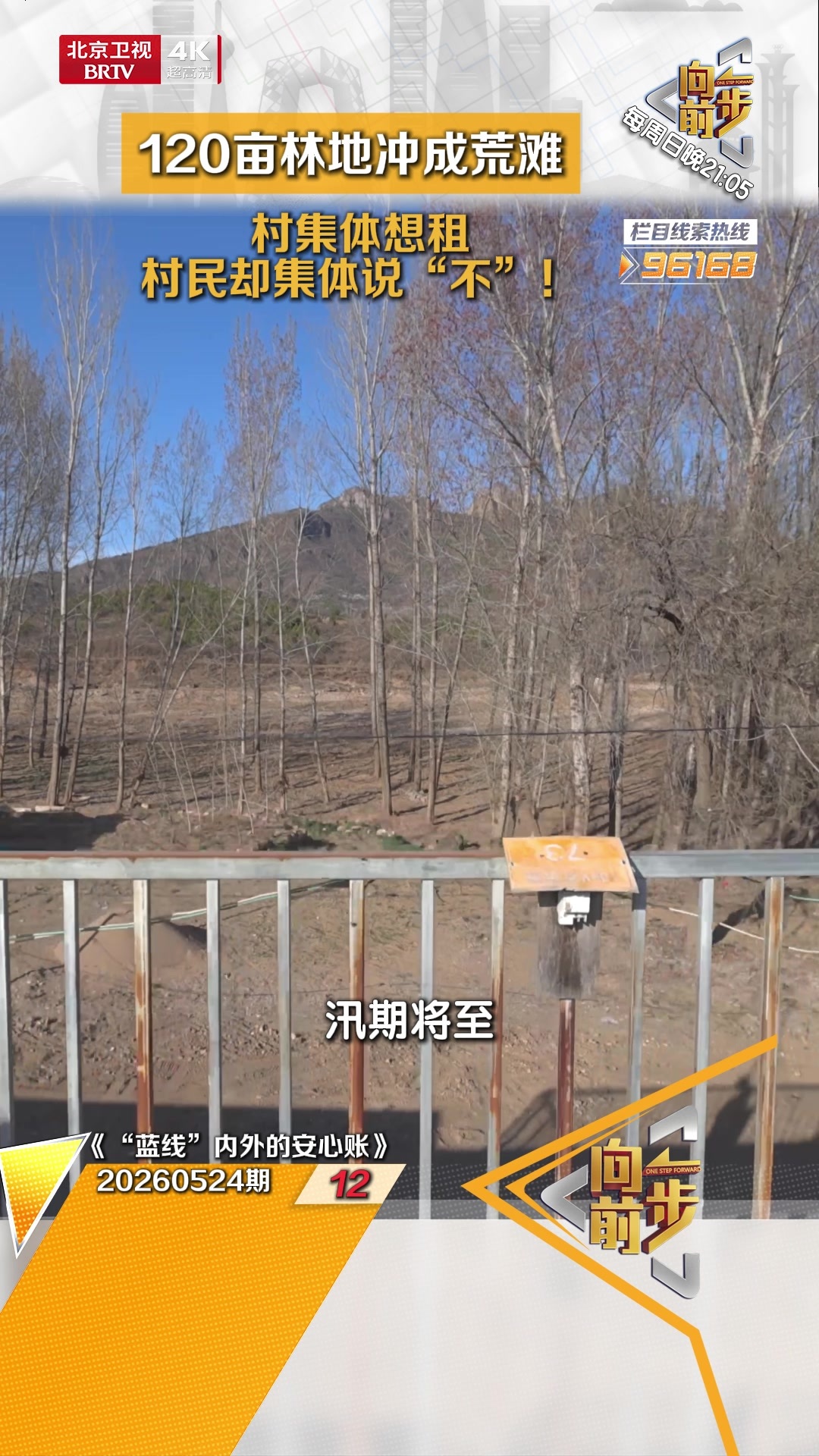 120亩林地冲成荒滩 村集体想租，村民却集体说“不”！