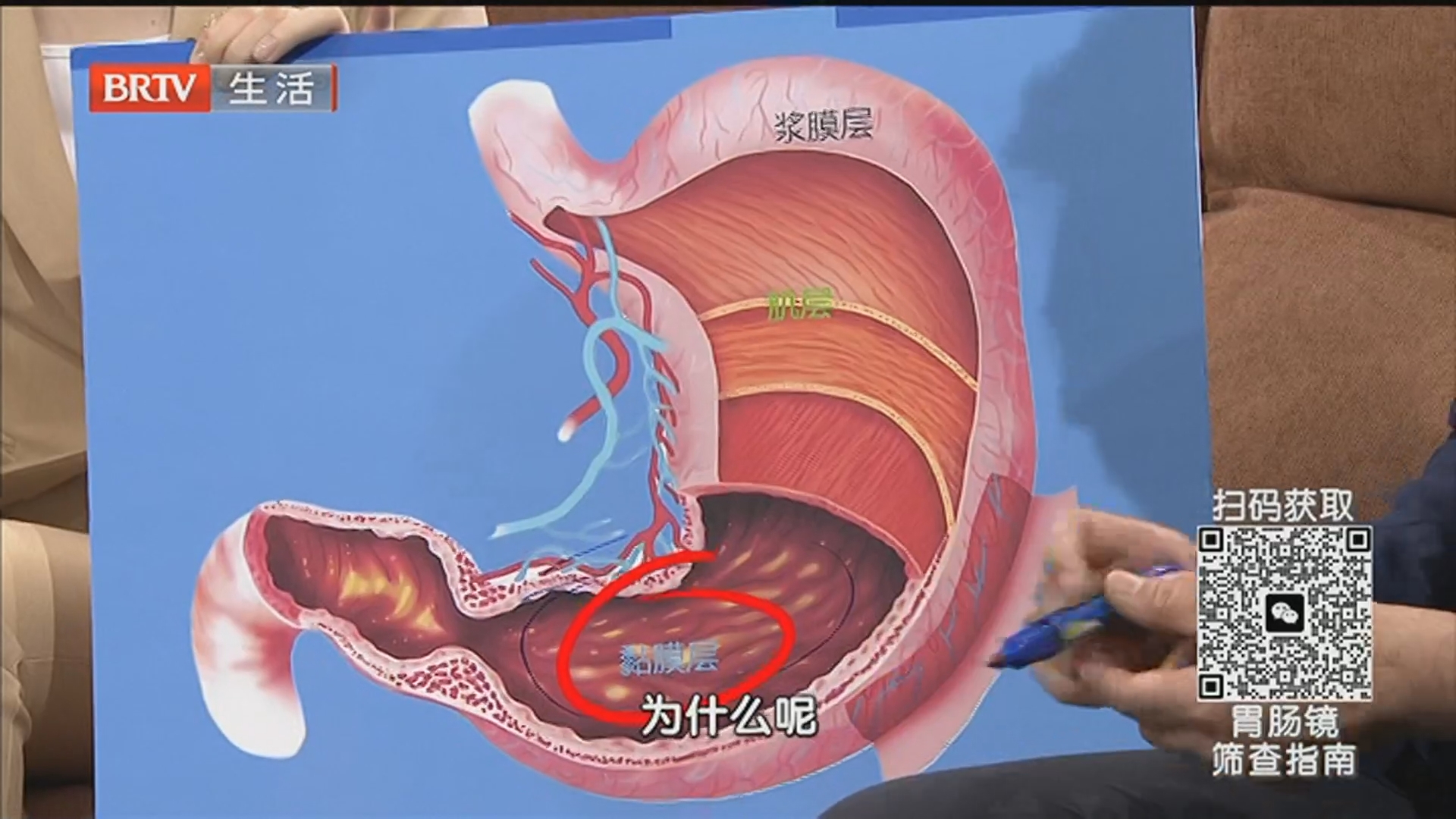 《全民健康学院》20260630“胃”雨绸缪 健康从“肠”计议