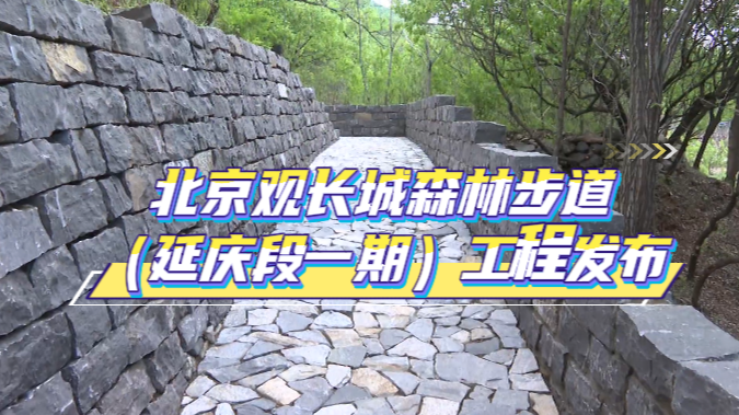 北京观长城森林步道(延庆段一期)工程发布 北京观长城森林步道(延庆段一期)工程发布