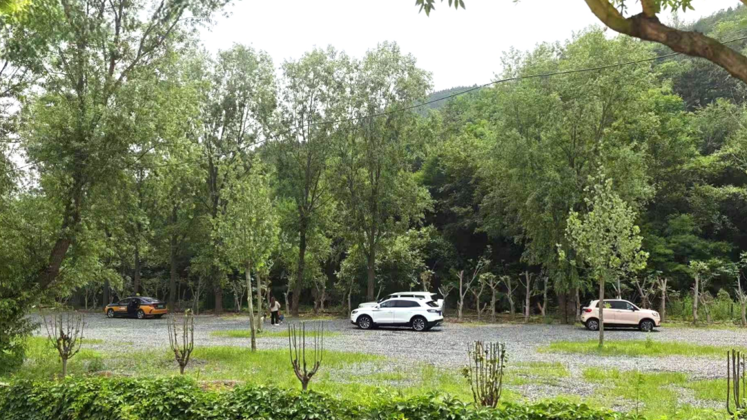 废弃鱼塘变生态停车场，打通乡村出行堵点