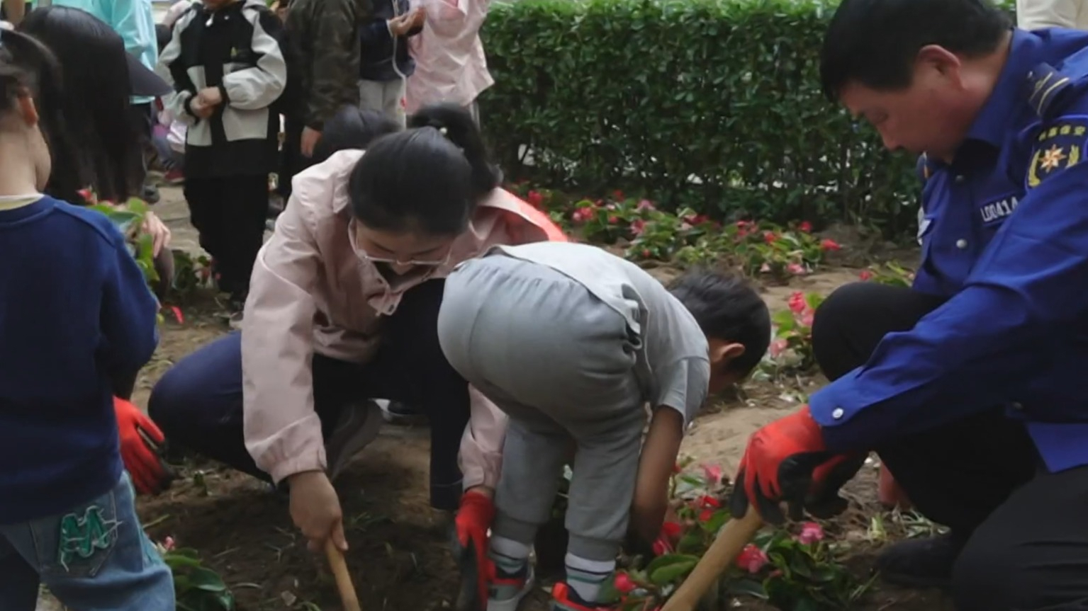全市建立园艺师制 实现“三师”联动机制