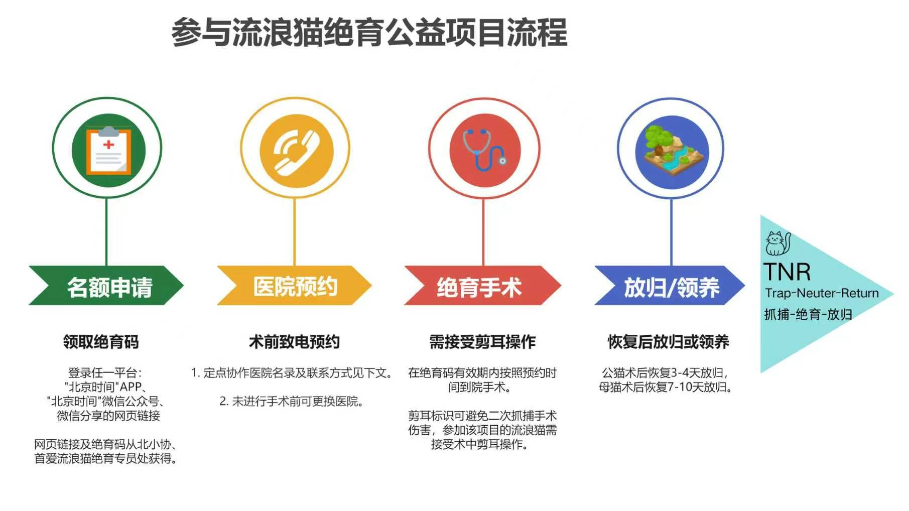 北京流浪猫绝育公益服务2026再启航 北京流浪猫绝育公益服务2026再启航