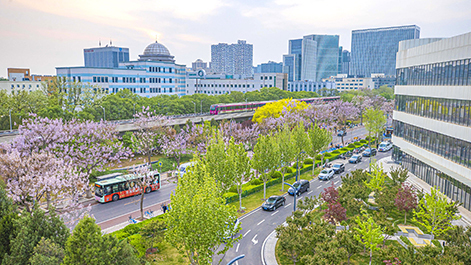 亦路花香 泡桐花季开启春日奇遇 亦路花香 泡桐花季开启春日奇遇