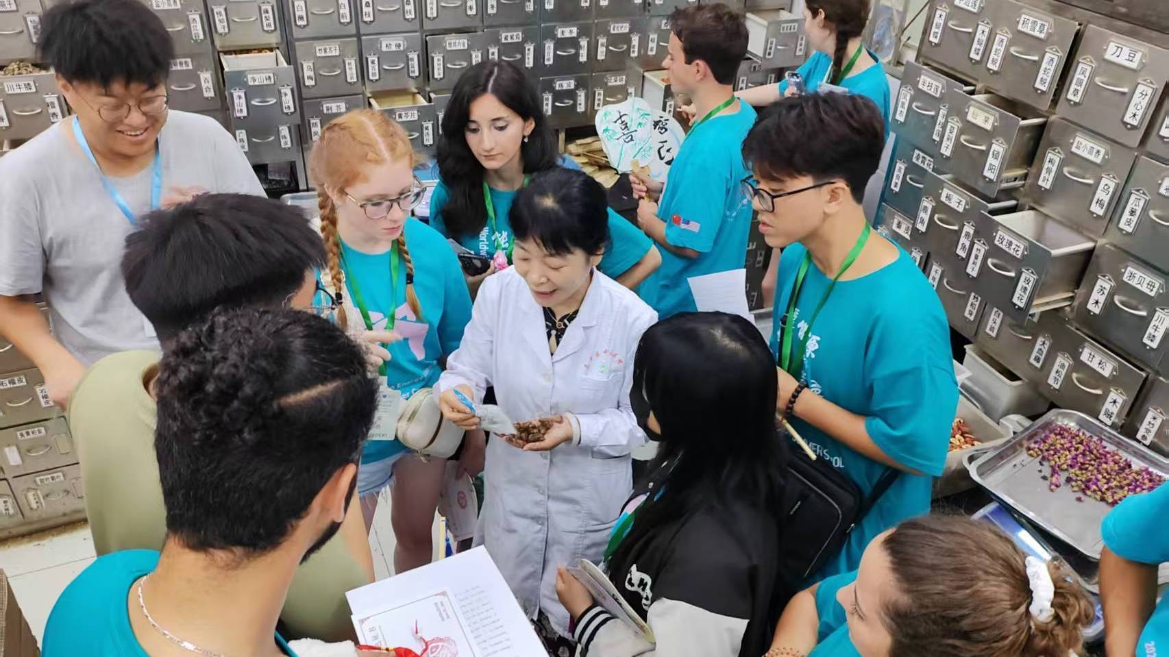 沉浸式体验中医药文化！15国优秀青年代表走进昌平中医医院