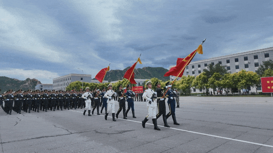 倒 计 时 1 0 天 ！