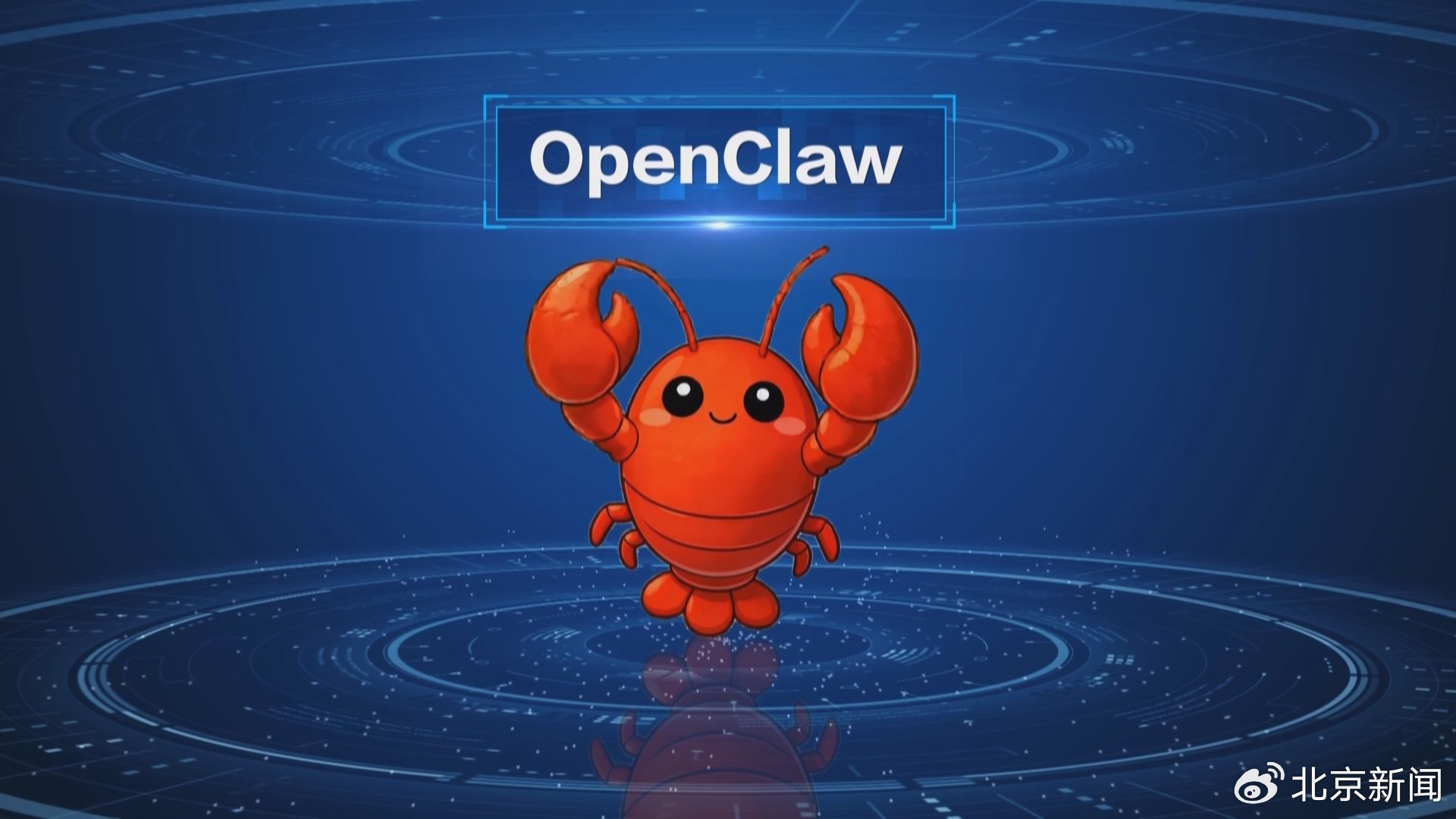 要不要养“龙虾”,看完再决定! 要不要养“龙虾”,看完再决定!