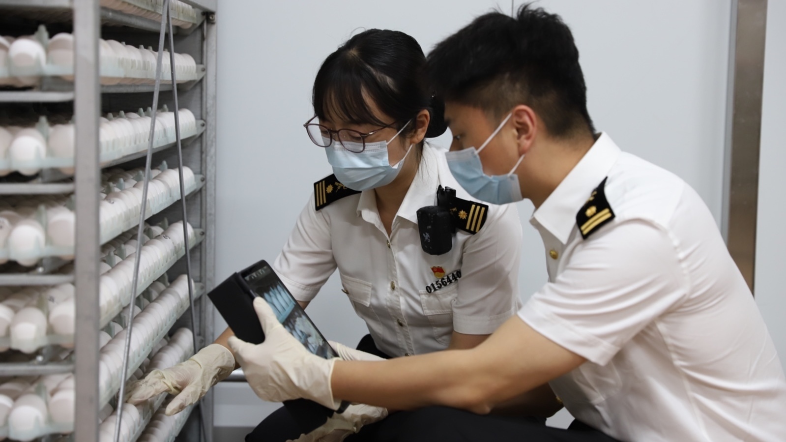 北京海关助力我国自主培育种禽稳步走出国门 北京海关助力我国自主培育种禽稳步走出国门
