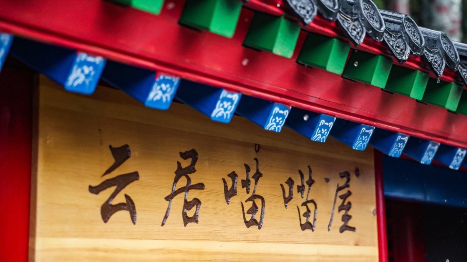 千年古刹迎来一群“守护喵”， 快手公益“老铁帮毛铁·古建守护喵”首站落地云居寺