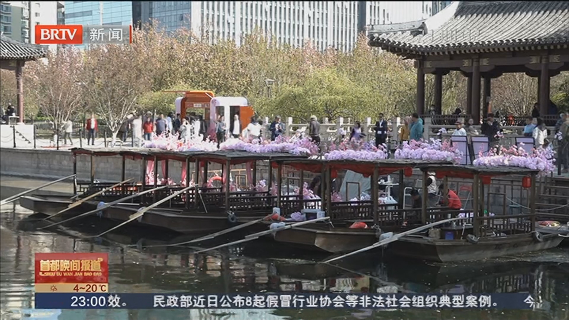 “海棠花溪”游船明日再起航 鲜花规模较往年翻一倍 “海棠花溪”游船明日再起航 鲜花规模较往年翻一倍