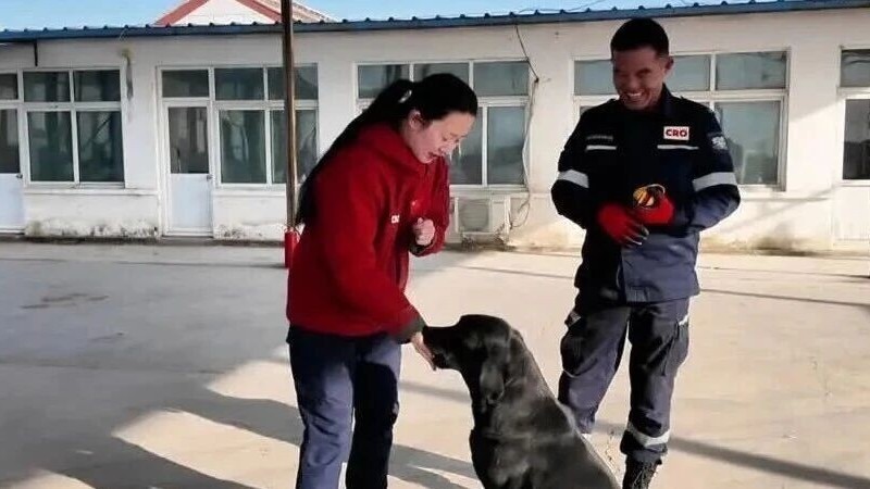 新春走基层 | 搜救犬春节守岗，师徒传承中国搜救梦