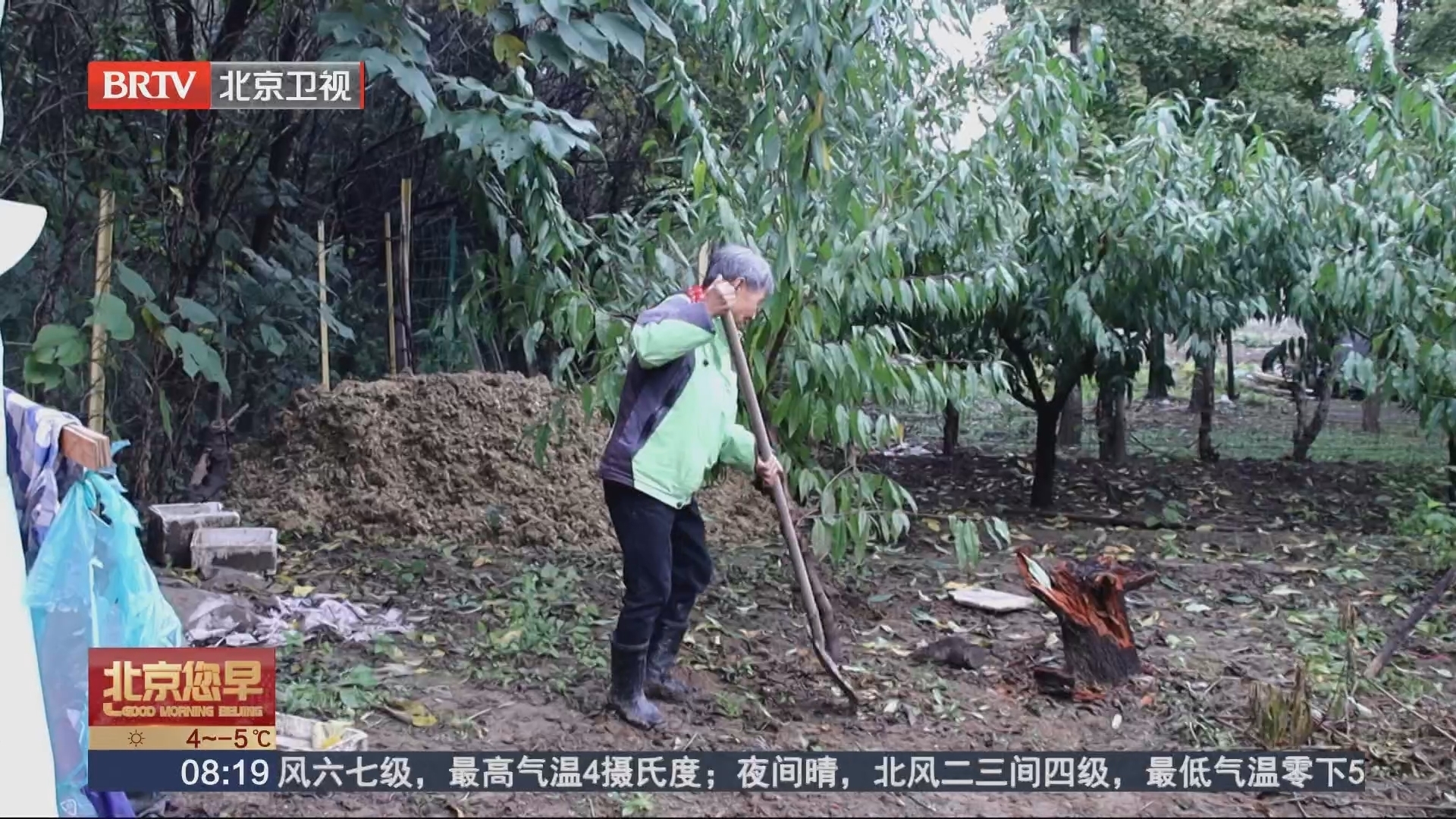 小区异味何时消除 先从科学施肥开始 小区异味何时消除 先从科学施肥开始